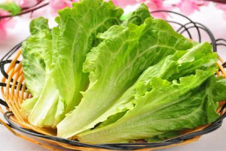 孕妇十大禁忌蔬菜