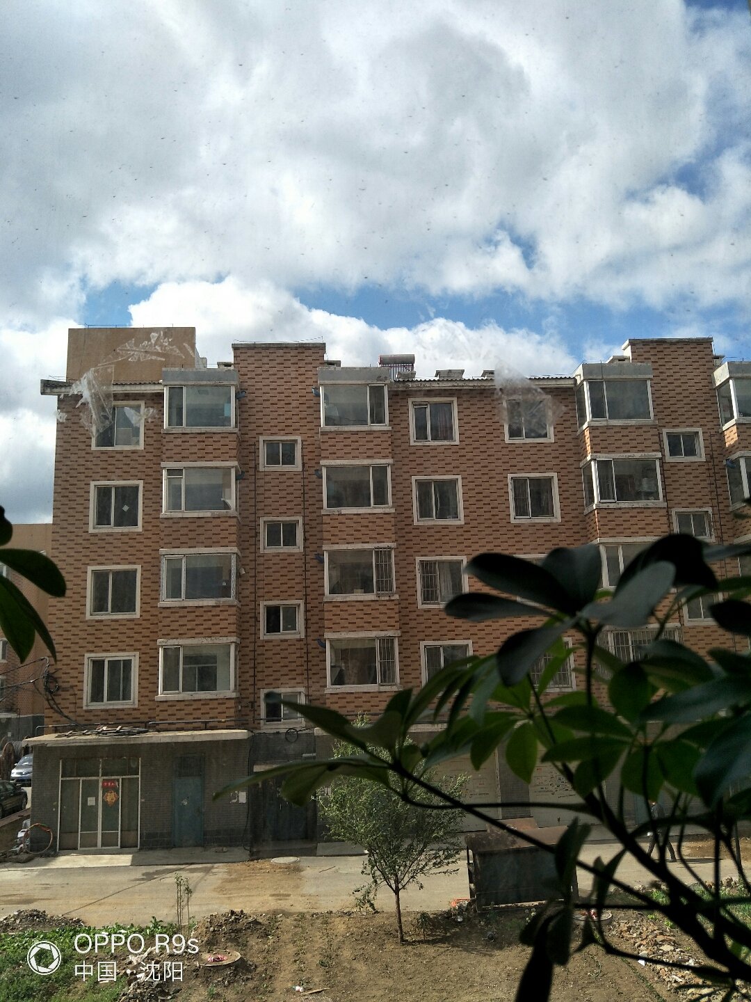 大妈闯出一片天地
