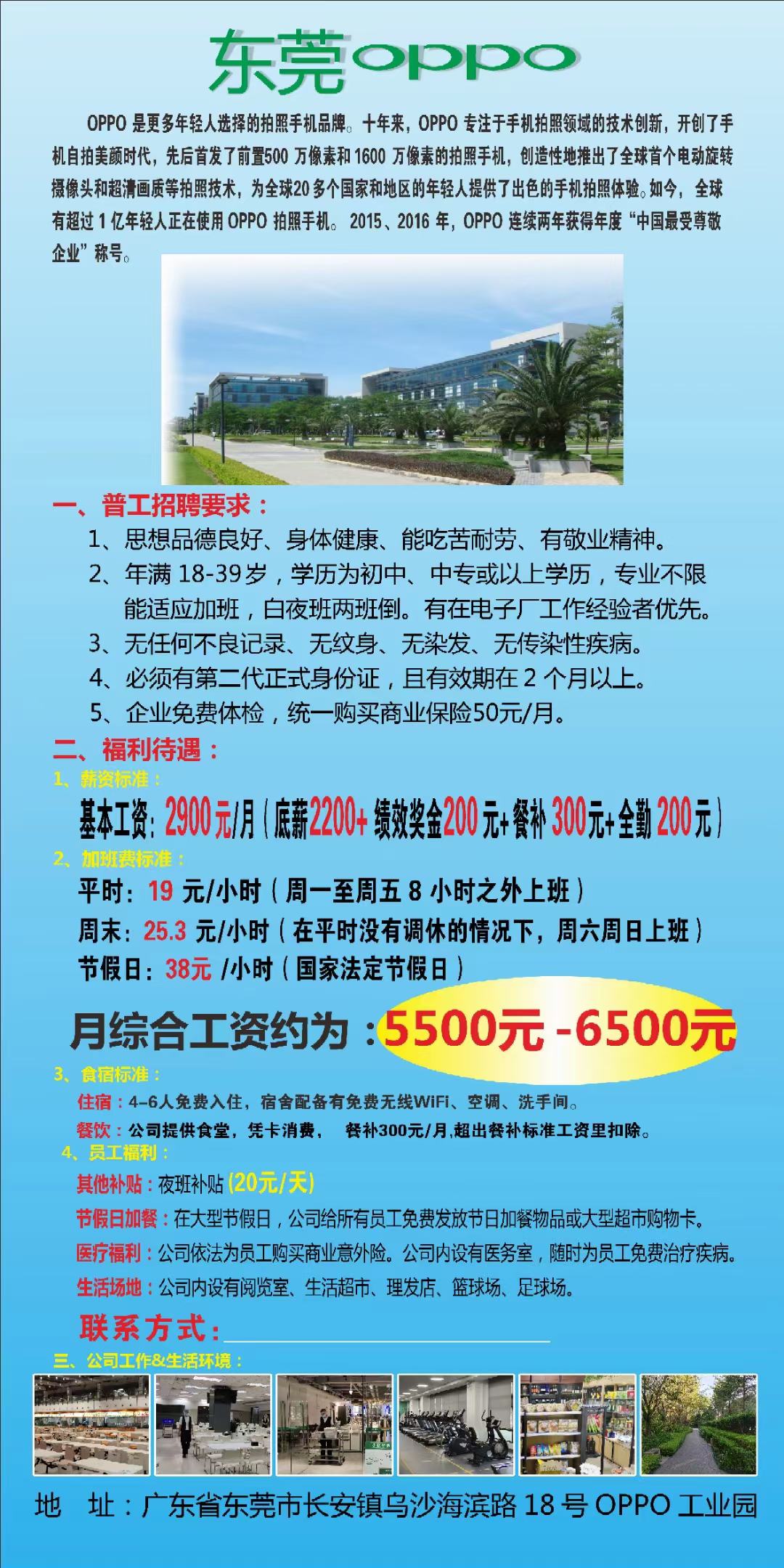 XXX技术有限公司