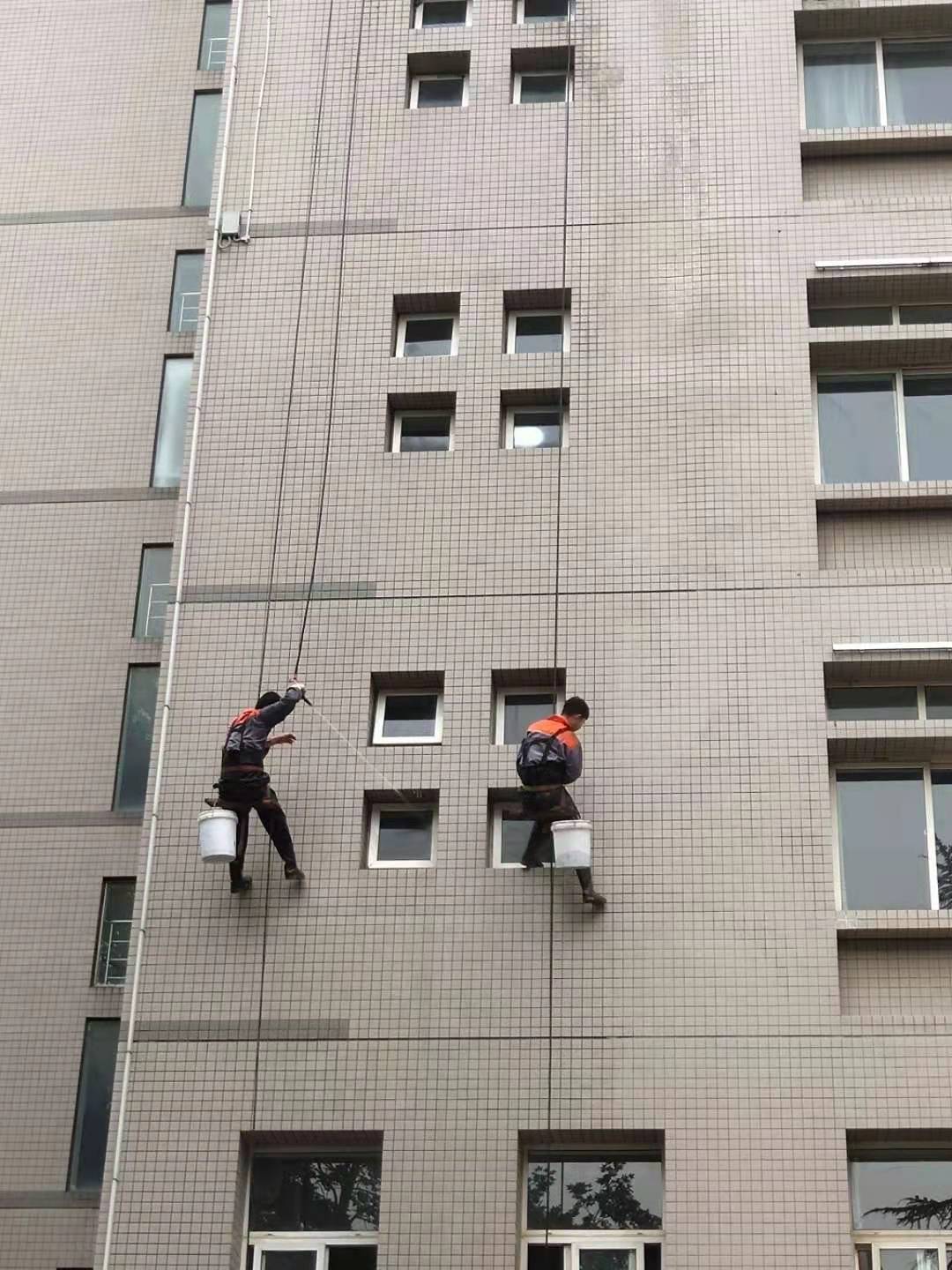 我们的服务内容