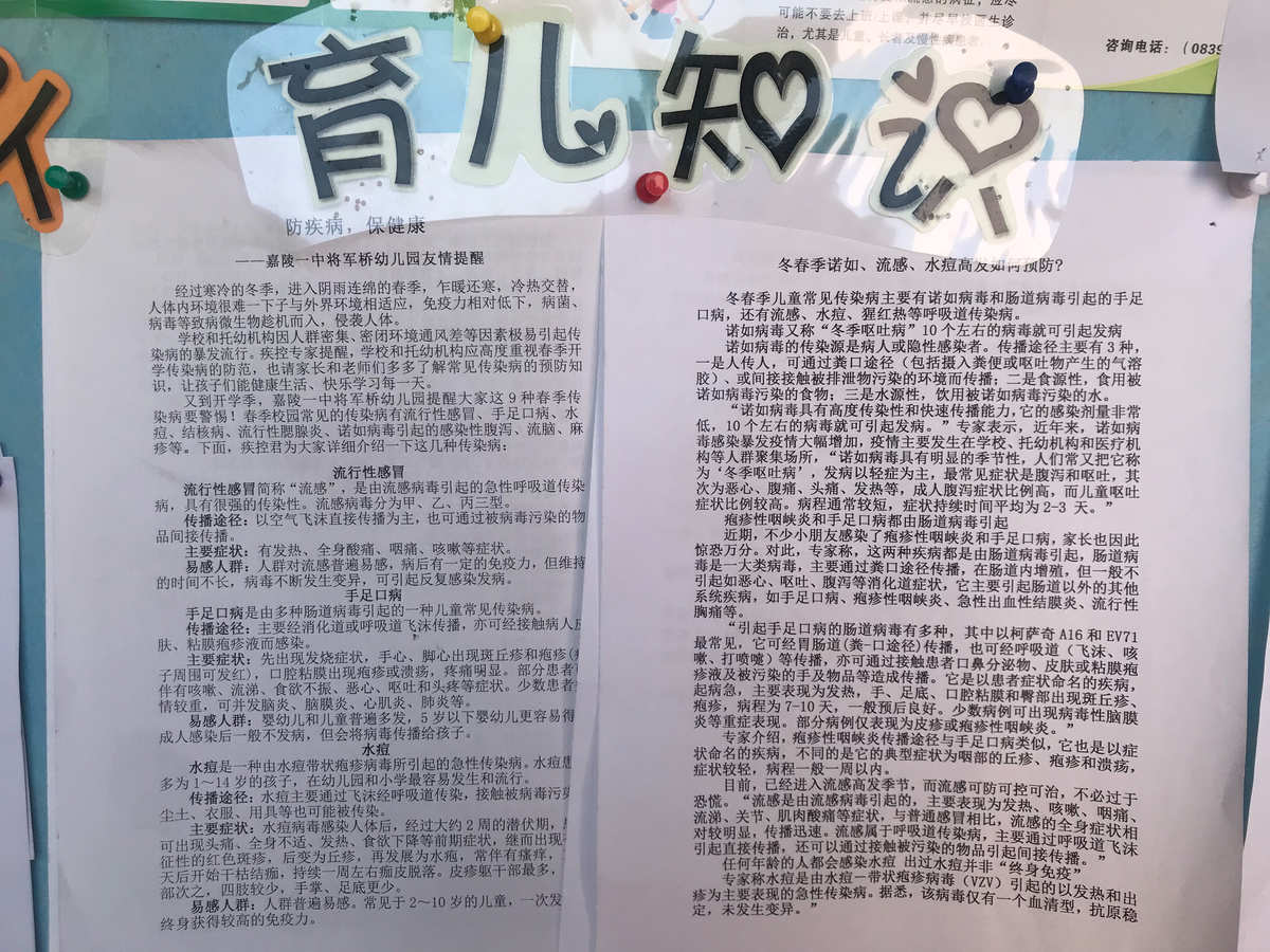 中班春季户外活动