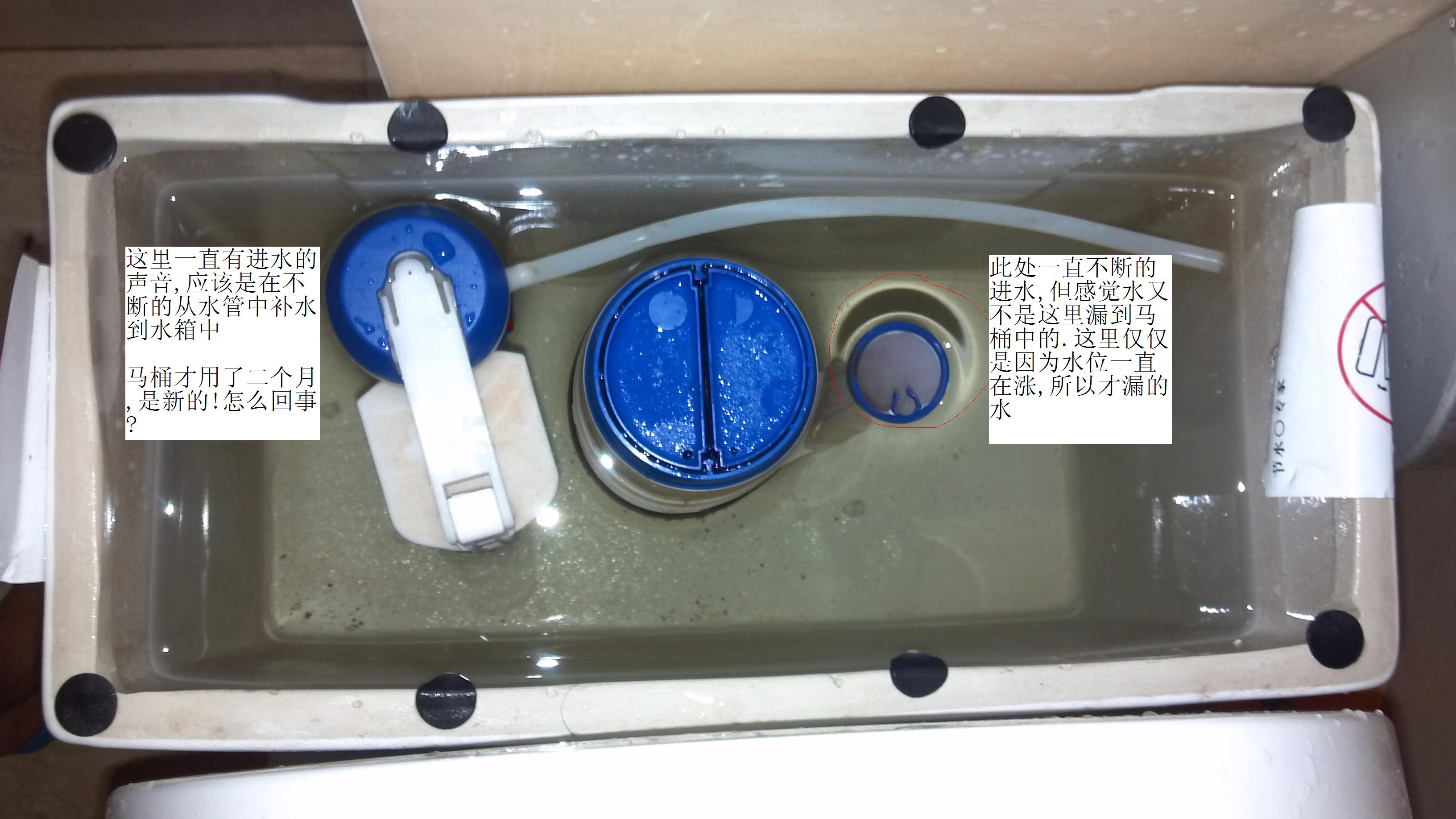 1. 检查水箱密封圈