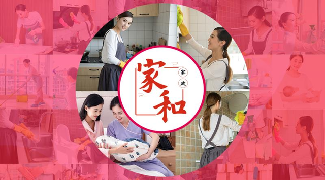 家政公司的市场竞争与优势