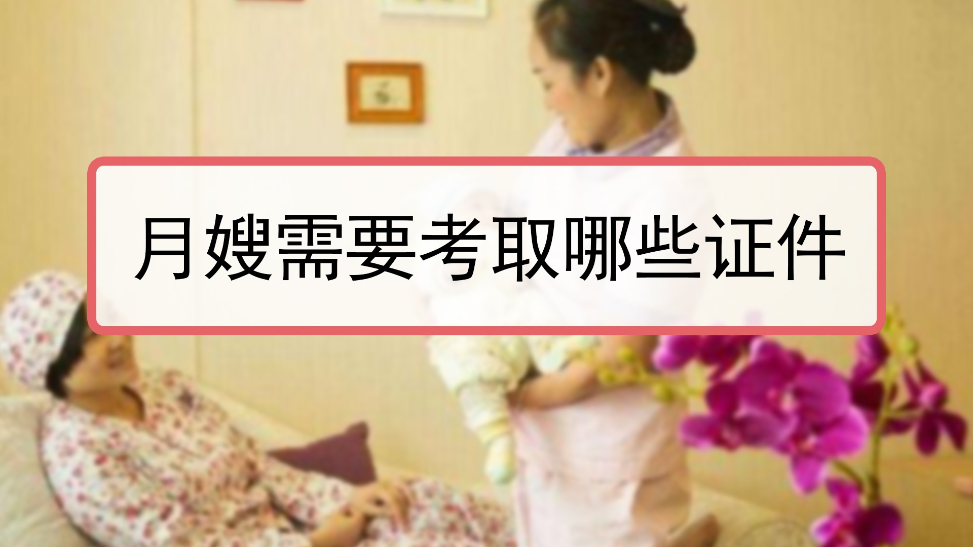 考月嫂的长尾词
