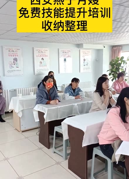 专业师资团队
