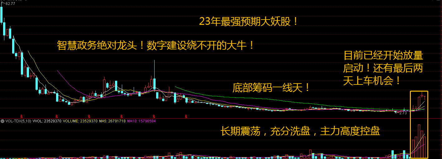 1. 挖掘行业龙头