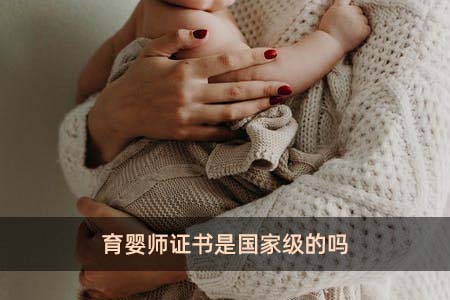 3. XXX教育中心
