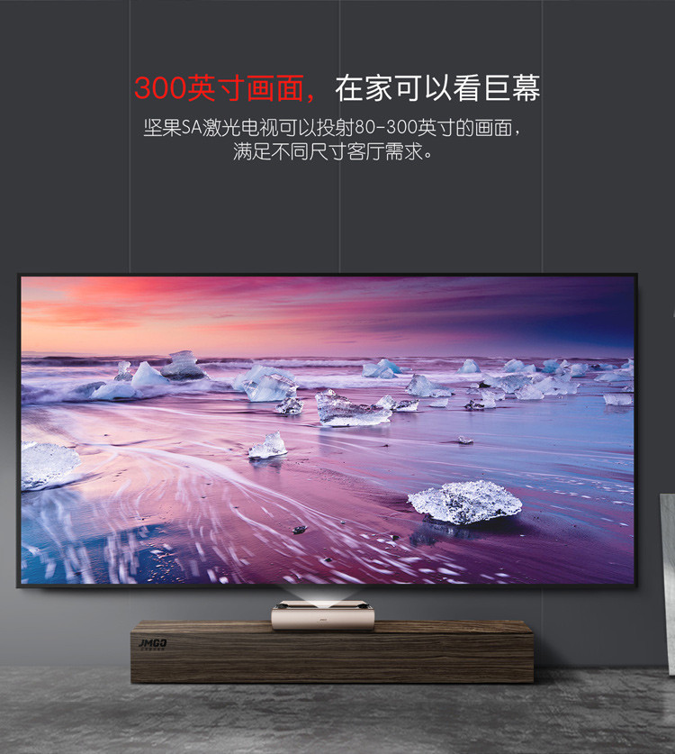 3. ZZZ品牌100寸电视机