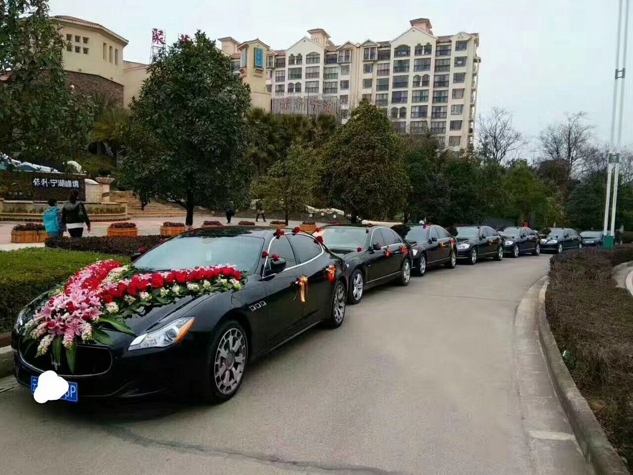 3. 确定车辆种类和价格