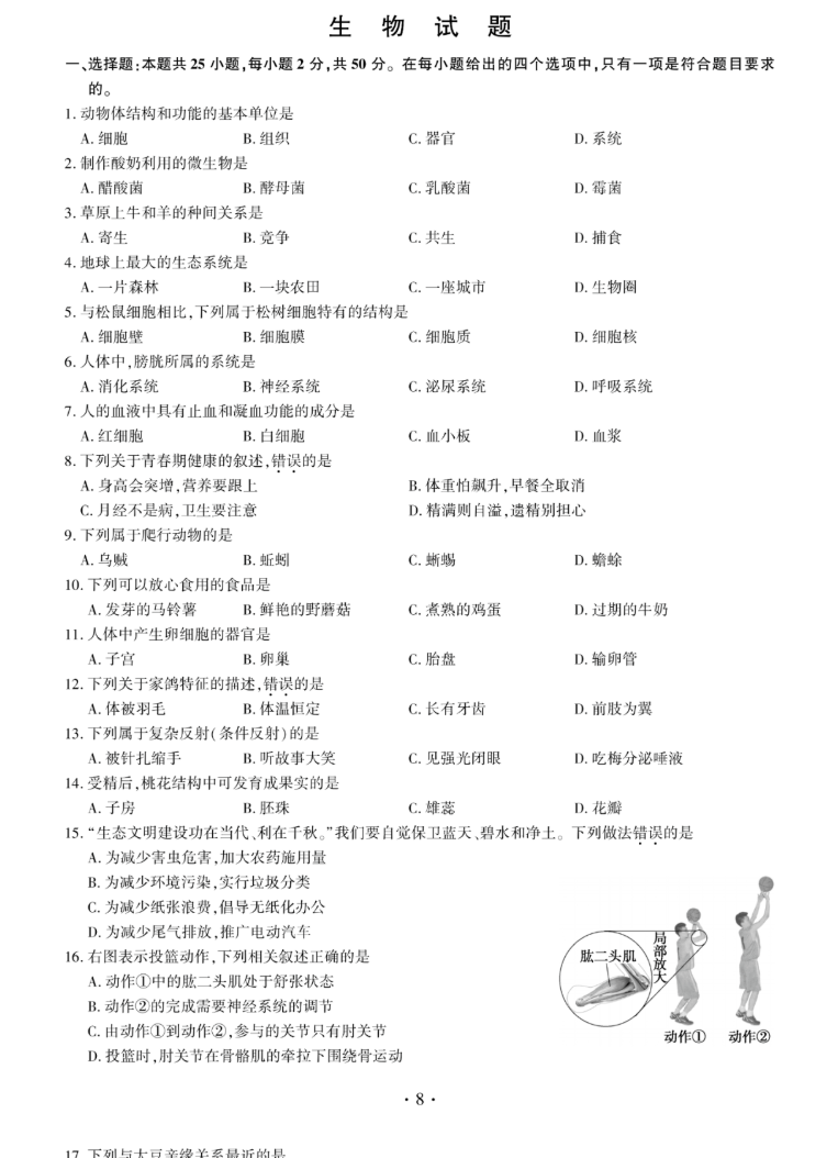 3. 高级月嫂需要具备哪些技能？