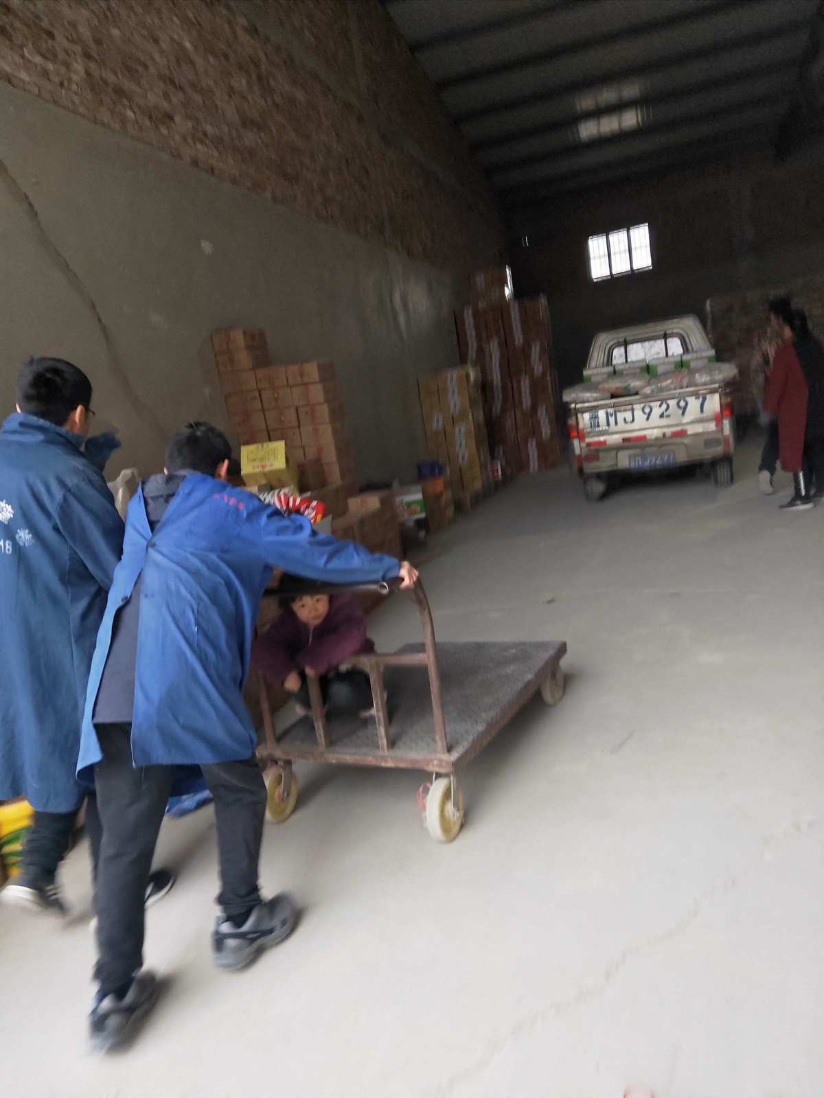 便宜的干装搬运工