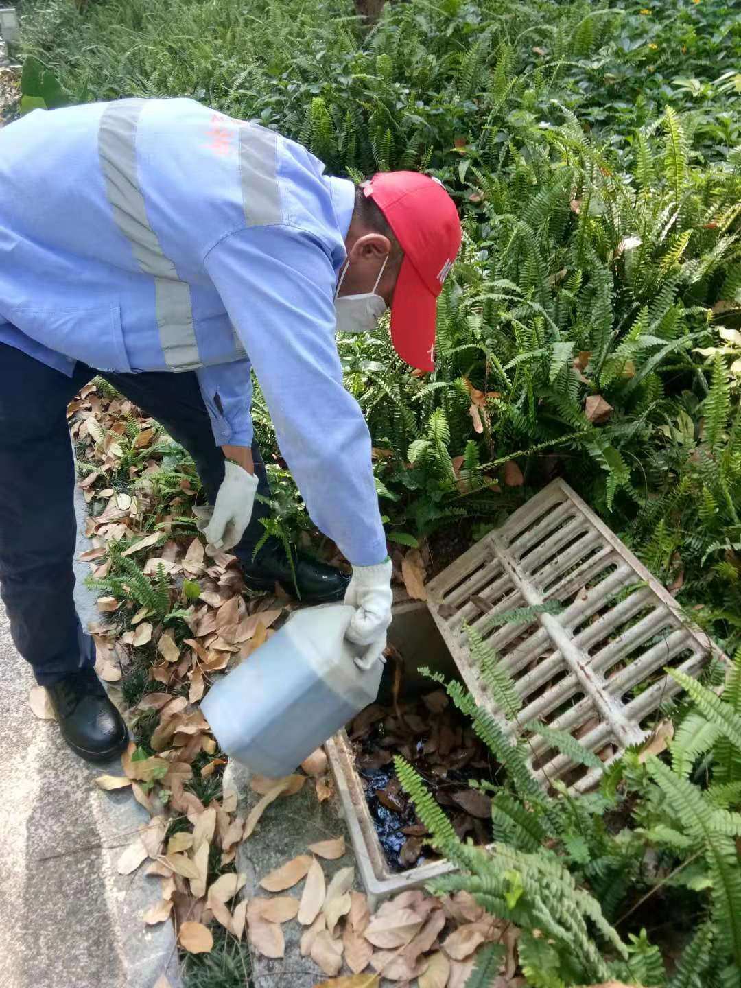 环卫服务