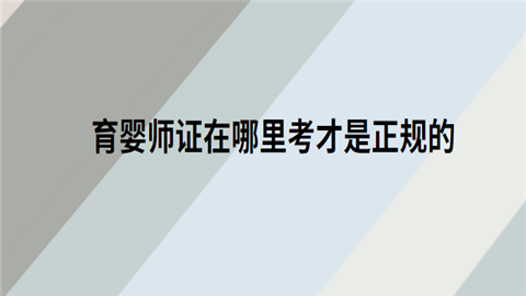1. XXX教育机构