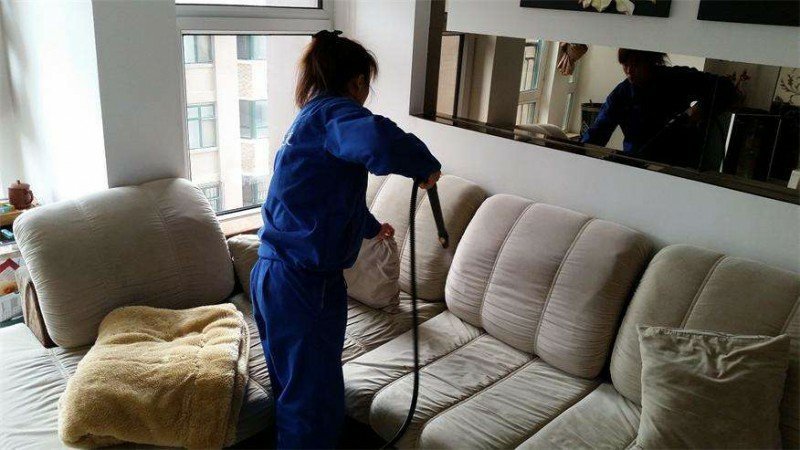 专业的家政服务