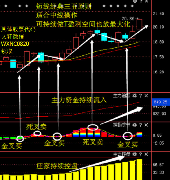 潍柴动力未来发展趋势
