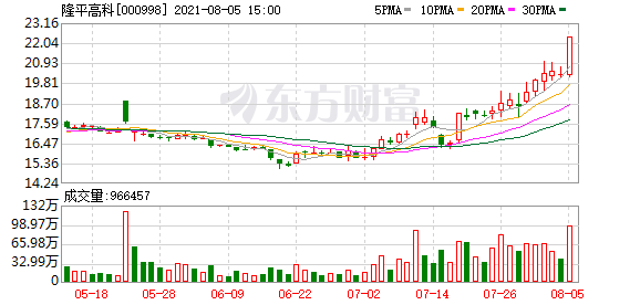 投资隆平高科股票的风险分析