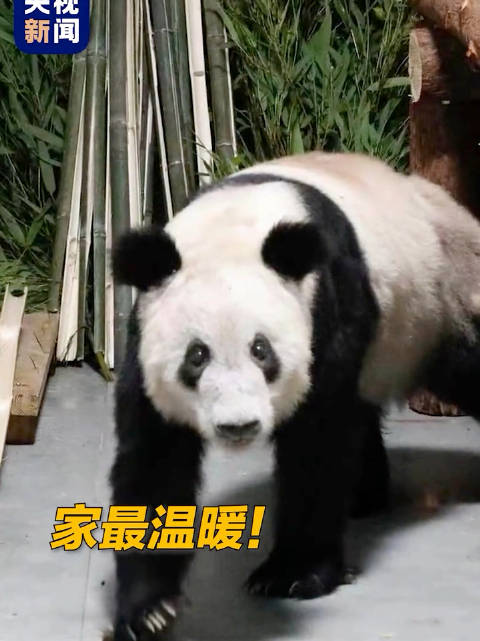 贴心、周到的增值服务