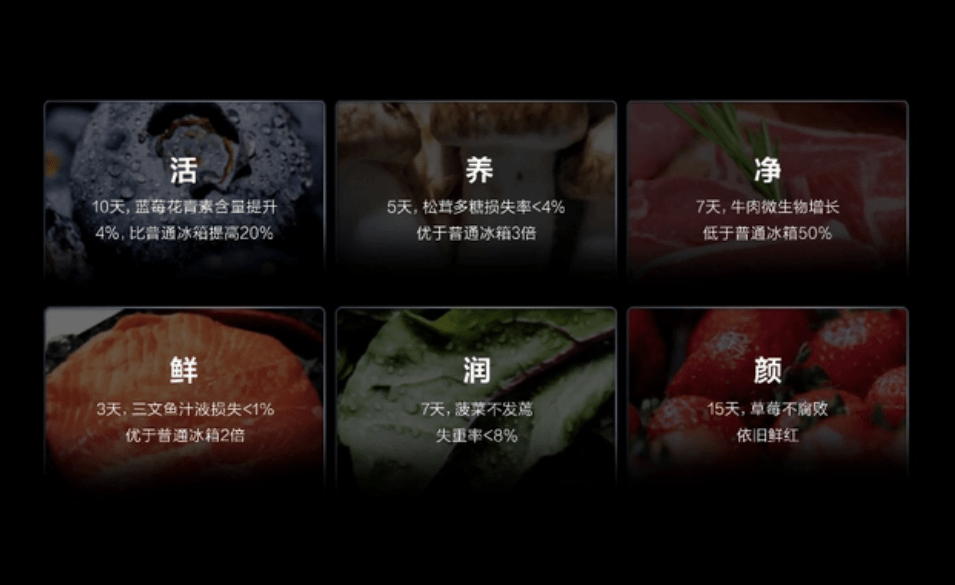 2. 雅培