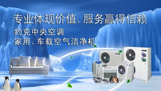 了解更多关于约克空调的信息