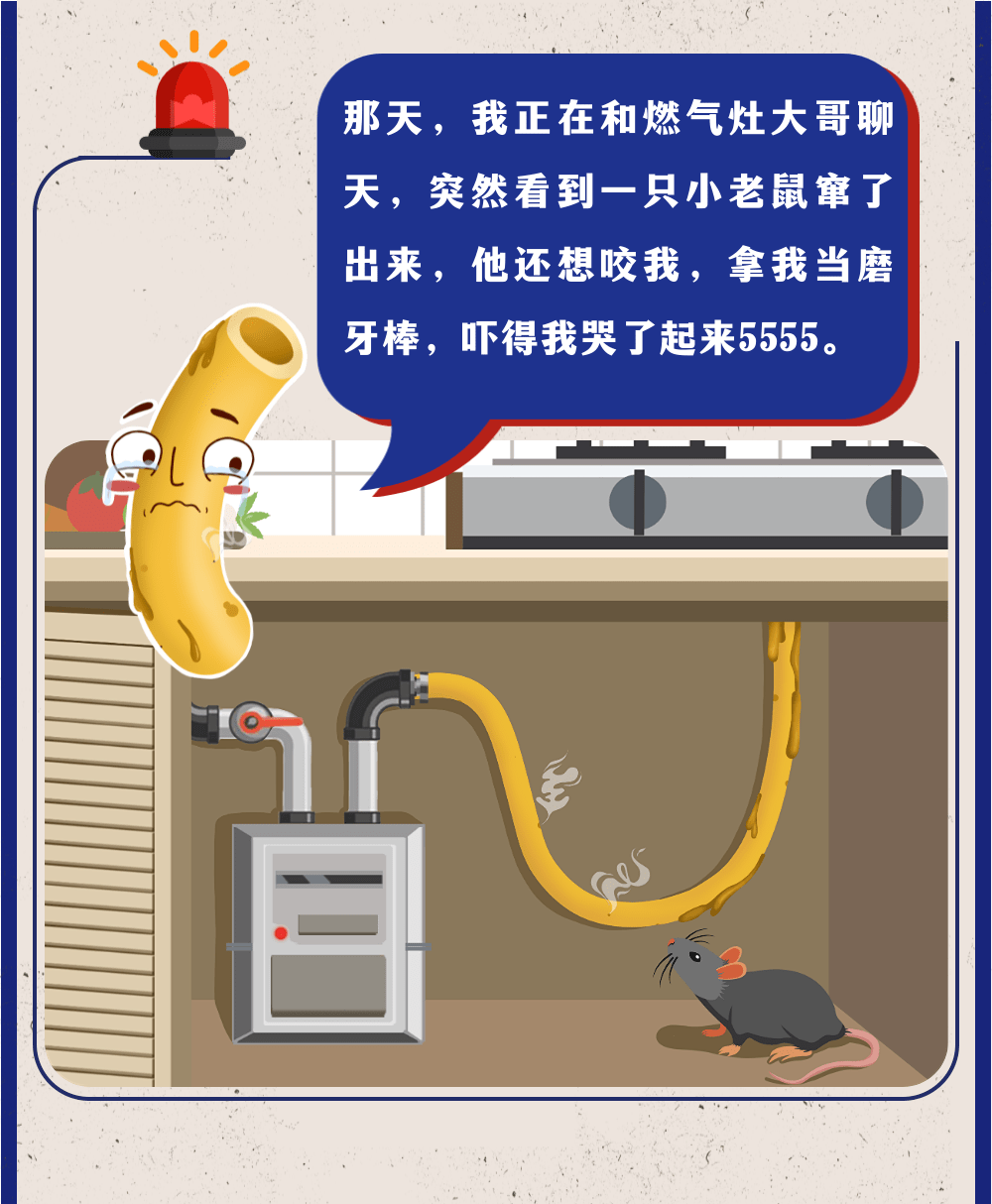 为什么选择燃气灶维修上门服务？