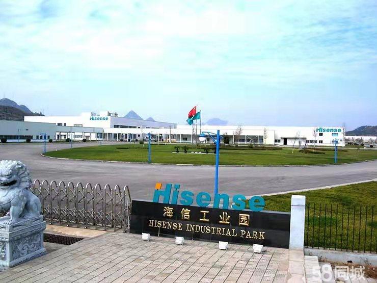 多元化发展机会