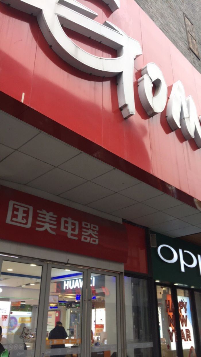 国美电器市场发展情况