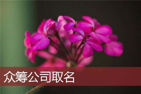 3. 突出核心优势