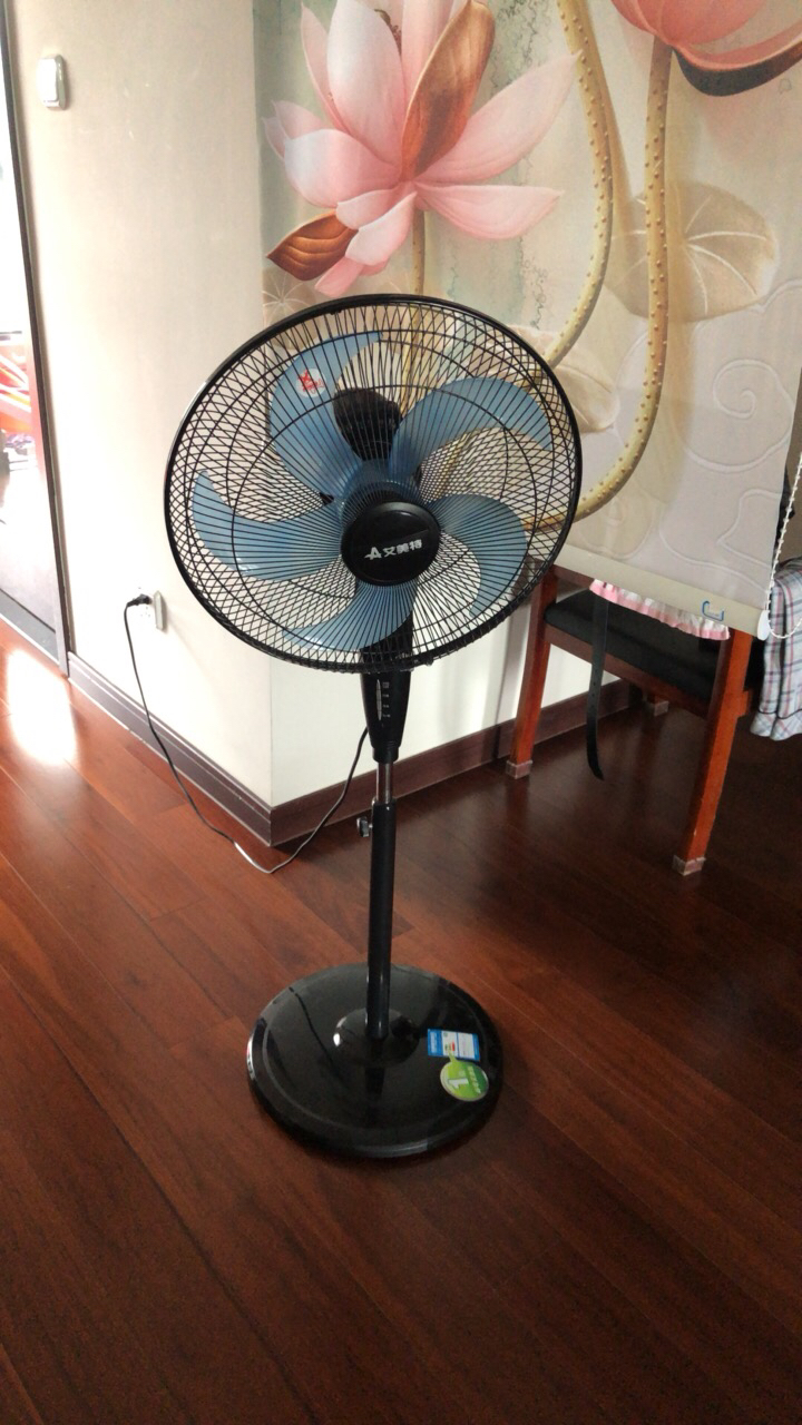 3. ZZZ牌落地扇