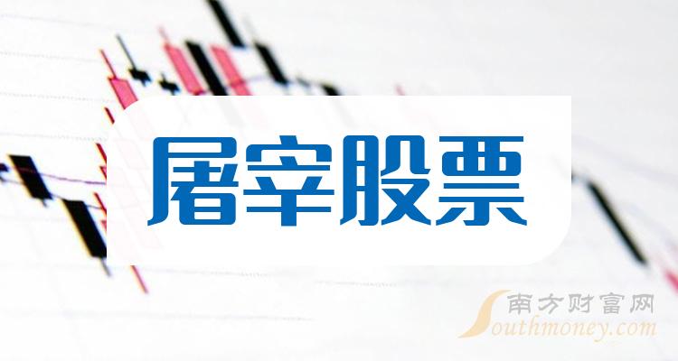新希望股票投资价值