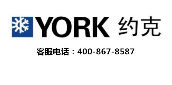 我们的服务团队