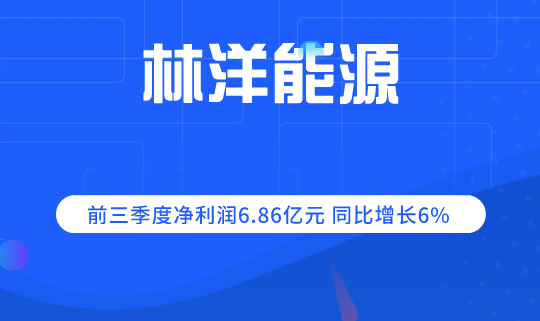 林洋能源的发展优势