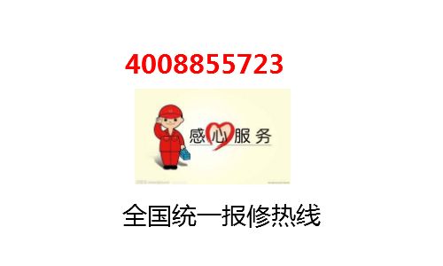 专业技术团队