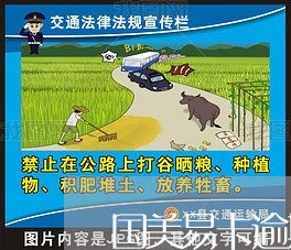 结语