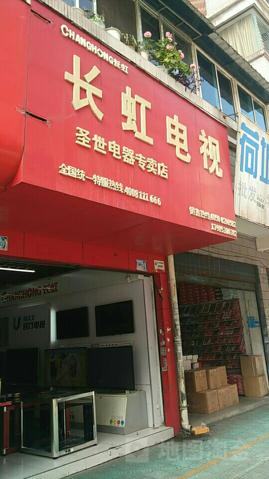 服务内容
