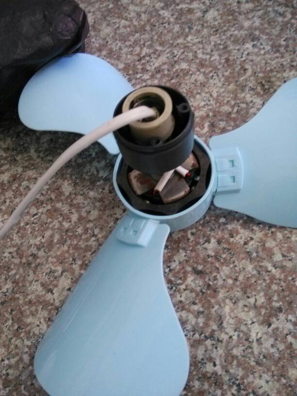 1. 清洁电风扇
