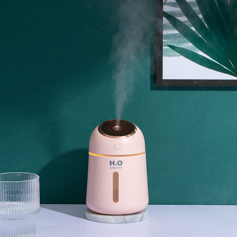 2. xxx品牌加湿器