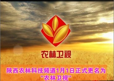 卫星电视论坛推荐卫星电视用户必备技巧