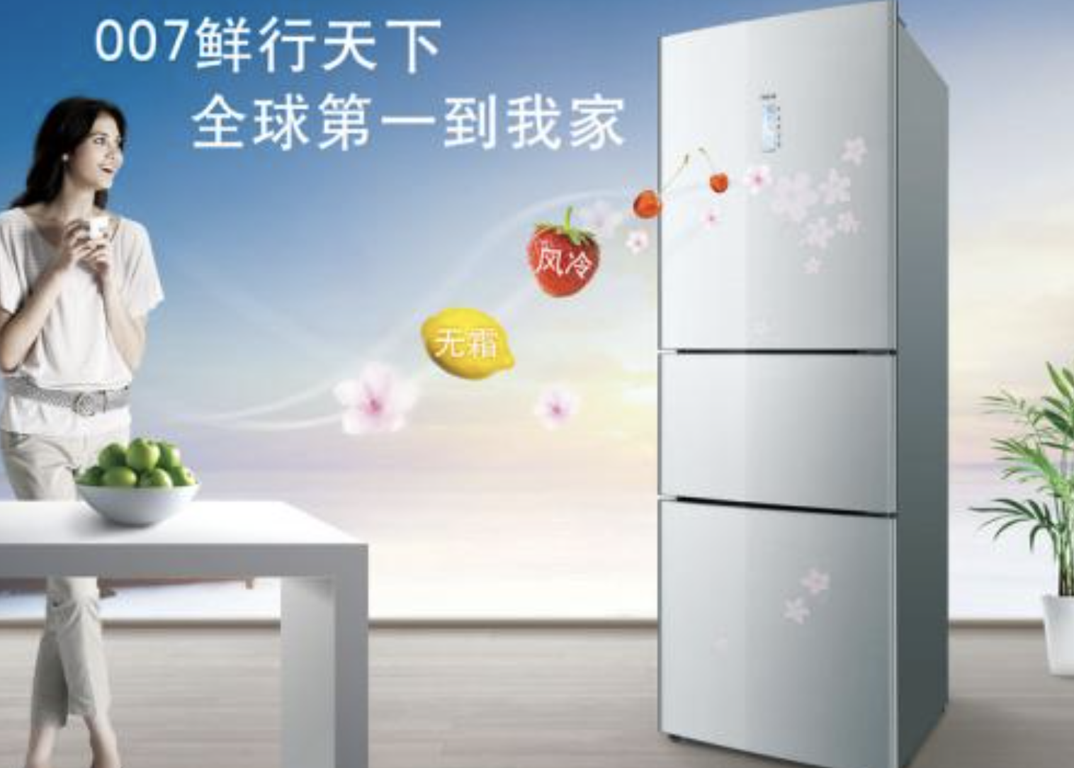 3. 备件难找的冰箱牌子