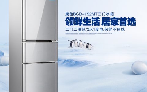 国产冰箱质量排行榜(国产冰箱质量)
