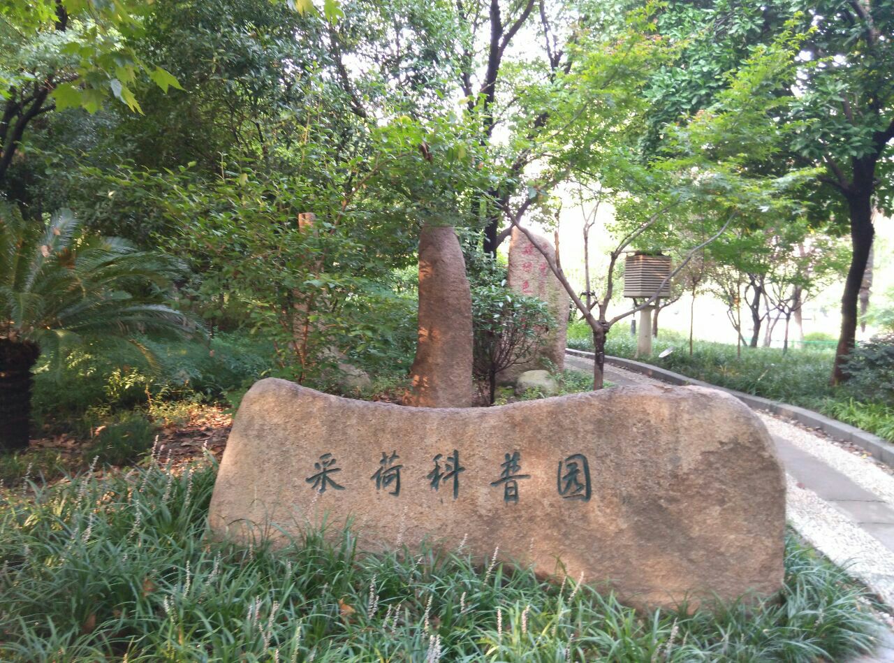 为什么选择我们的维修服务？