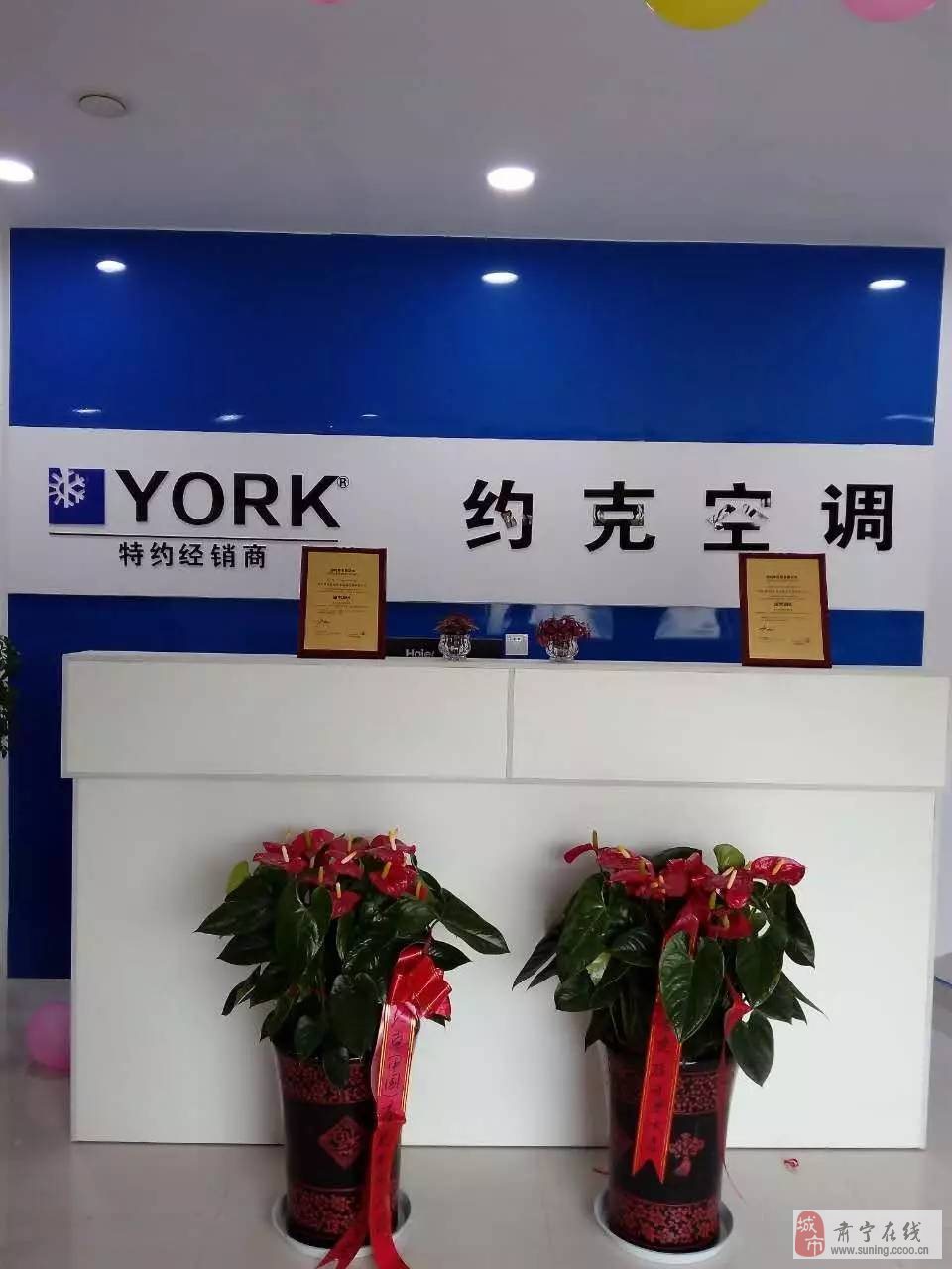 节能性能出众