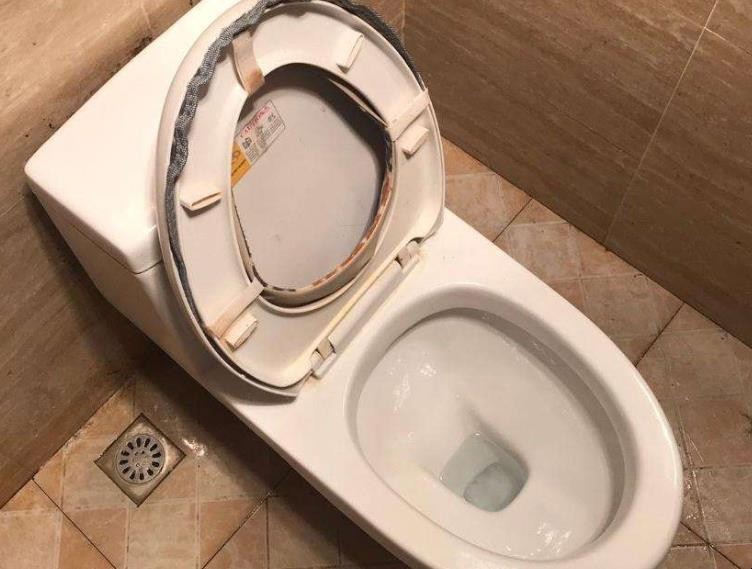 原因二：马桶冲水系统故障
