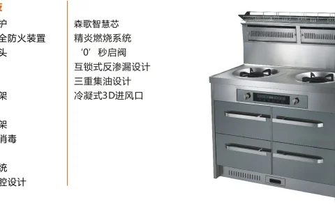 森歌集成环保灶(集成灶，环保灶)