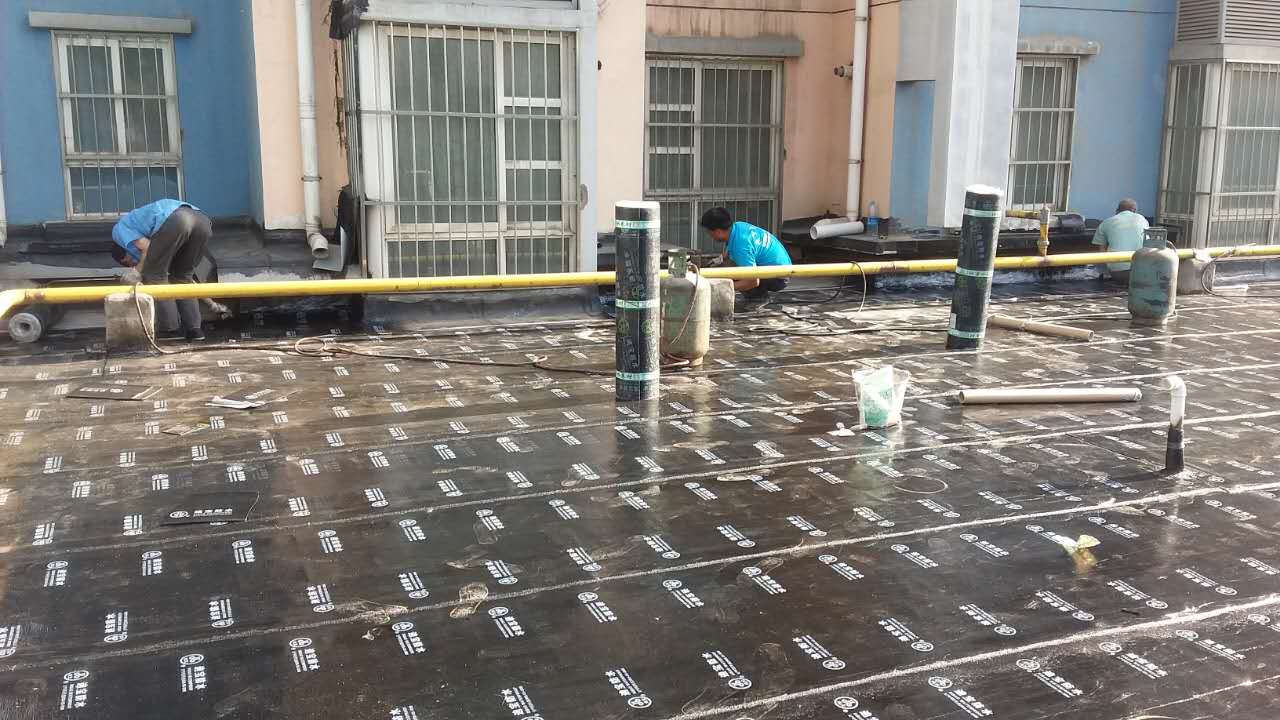 执照和资质