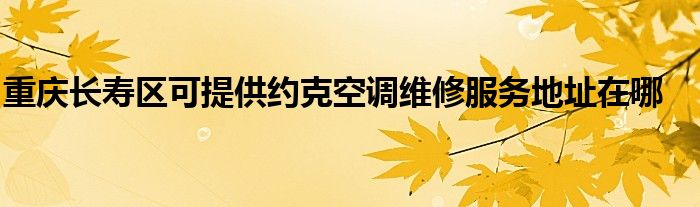 专业的售后服务团队