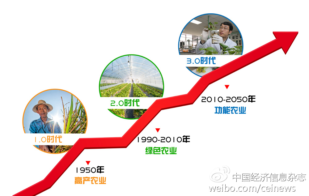 电网的发展历程