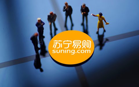 苏宁易购真实现状(苏宁易购发展现状)