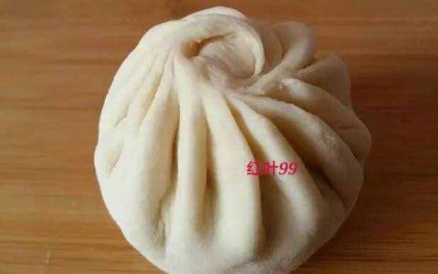 包子多少个褶子(详解包子褶子的制作过程)