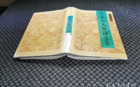 《诗家夫子》(记录中国文化史的经典之作)