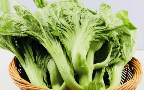 芥菜的拼音(芥菜怎么读？中国传统菜肴的食材解析)